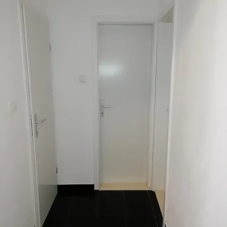 Marica Τρογκίρ